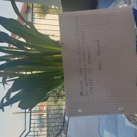 Apartment Goran Novi Vinodolski Ngoại thất bức ảnh