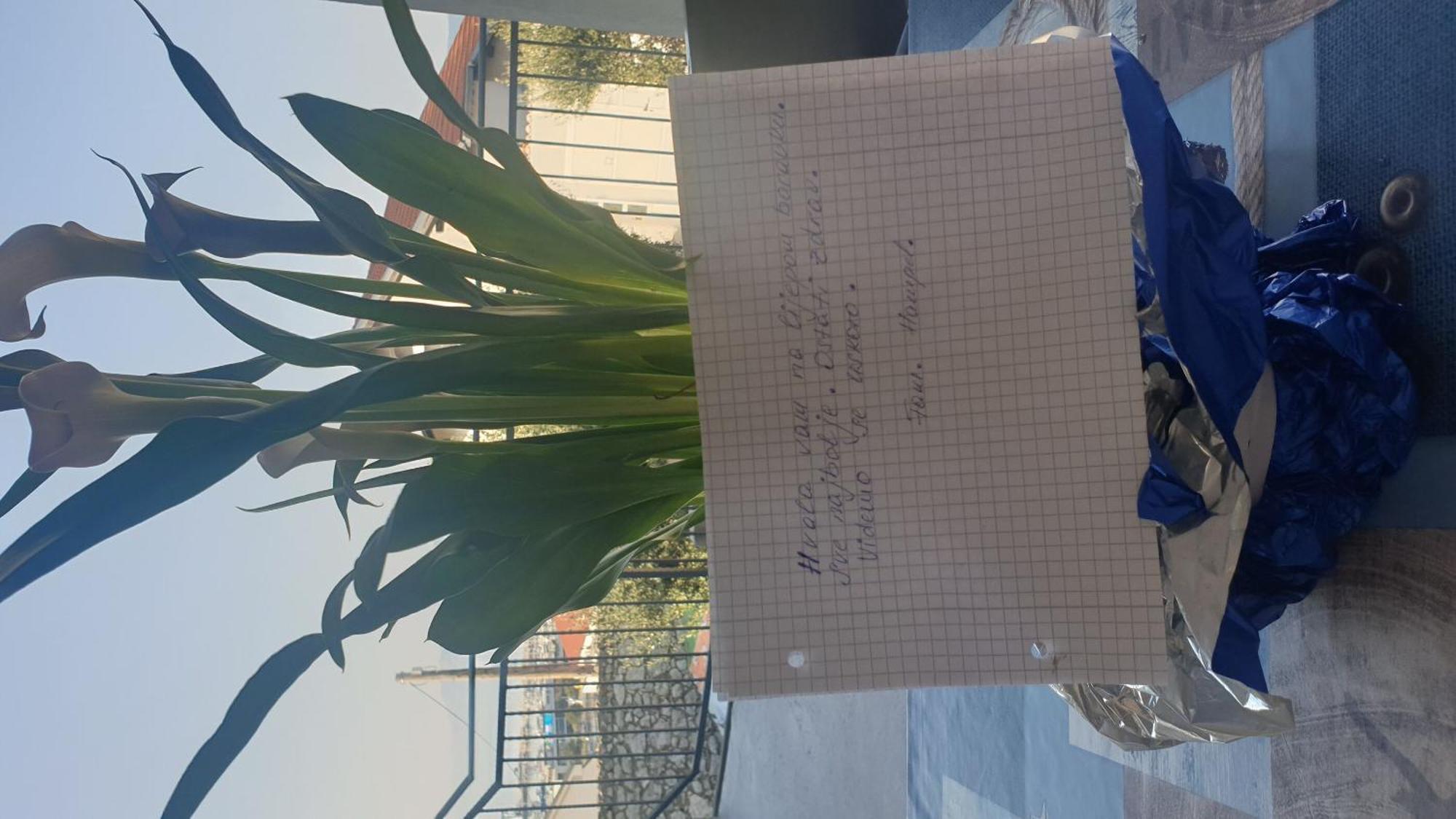 Apartment Goran Novi Vinodolski Ngoại thất bức ảnh